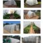 Eco Tunnels Greenhouses