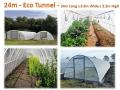 24m Eco Tunnels Greenhouse