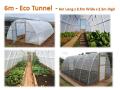 6m Eco Tunnels Greenhouse