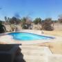 Pool reno