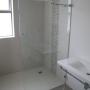 Frameless Shower 10