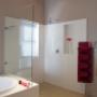 Frameless Shower 3