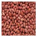 Peanut Kernels