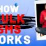 How bulk SMS works