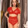 Red Lace Bra Set