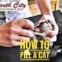 video how to pill a cat