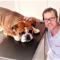 South-City-Veterinary-Cl