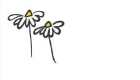 Dr Angela Long Homeopath