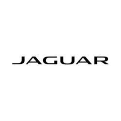 Jaguar Authorised Repairer Pietermaritzburg