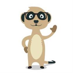 Meerkat