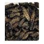 Mopane worms