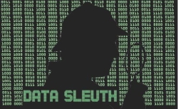 Data Sleuth