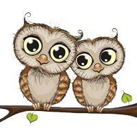 Happy Owls Daycare