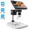 MXY11-MICROSCOPE-jpg