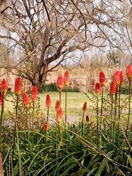 WatersEdge Bed and Breakfast