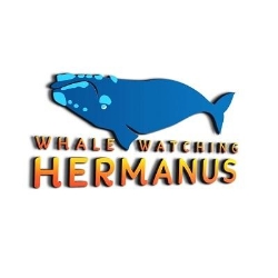 WHALE WATCHING HERMANUS