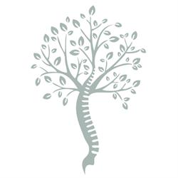 Dr VERTEBRAE CHIROPRACTIC