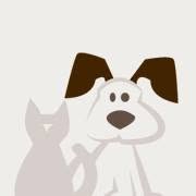 Tip Top Dog & Cat Groomers