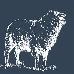 Hope Meats Supplies