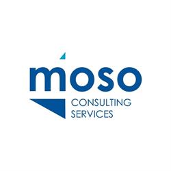 Moso Consulting Services