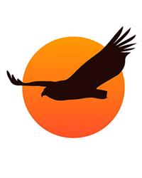Wild Wings Safaris