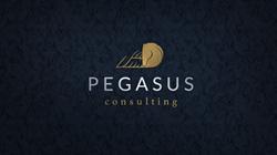Pegasus Consulting