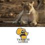Kruger National Park Safaris