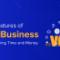 VoIP-Business-Solution