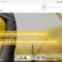 Website Design Portfolio