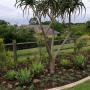 indigenous garden