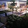 office garden