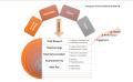 Executive Remuneration