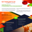Certificate in Compensation Management Brochure