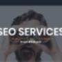 Rankmysite SEO Services