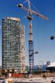 Operate a tower crane