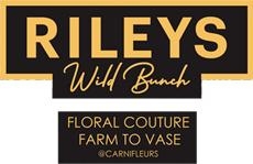 Rileys Wild Bunch