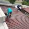 Roof-Painting