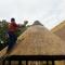 Thatch-Fire-Retardant
