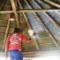 Thatch-Fire-Retardant