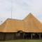 Thatch-roof