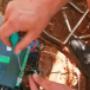 Gate Motor Repairs