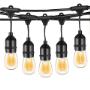 Lumina Solar Festoon String Outdoor Globe Lights