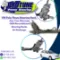 VW Polo Playa - OEM Reconditioned Steering Racks