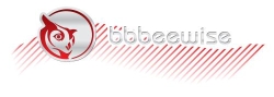 Bbbee Wise Advisory Services