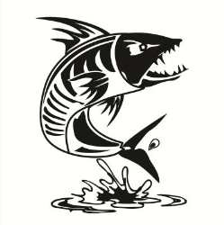 Tigerfish Software