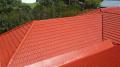 Roof Painting - Homes