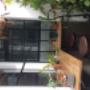 Garden area