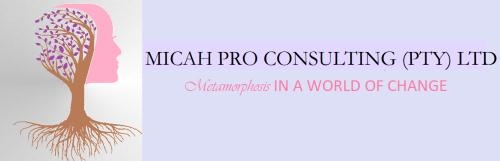 Micah Pro Consulting (Pty) Ltd