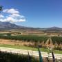 Cape Winelands
