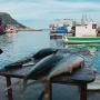 Kalk Bay Cape Town